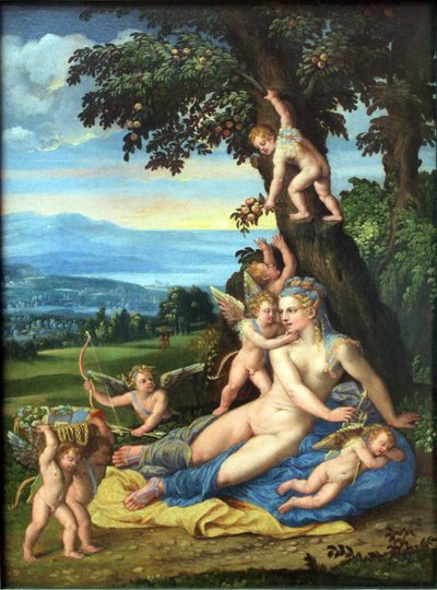 Venere e Cupido da Battista Dossi
